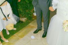 Sydney Jewish wedding celebrant