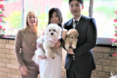 Dogs at a wedding