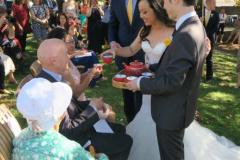 Chinese tea ceremony, Sydney wedding celebrant