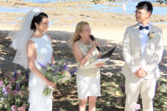 Beach-wedding