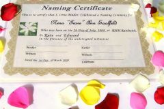 petals for naming day