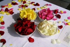 rose petals for naming day